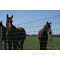 PVC Virgin PVC facilmente assemblato Fence per cavalli usati